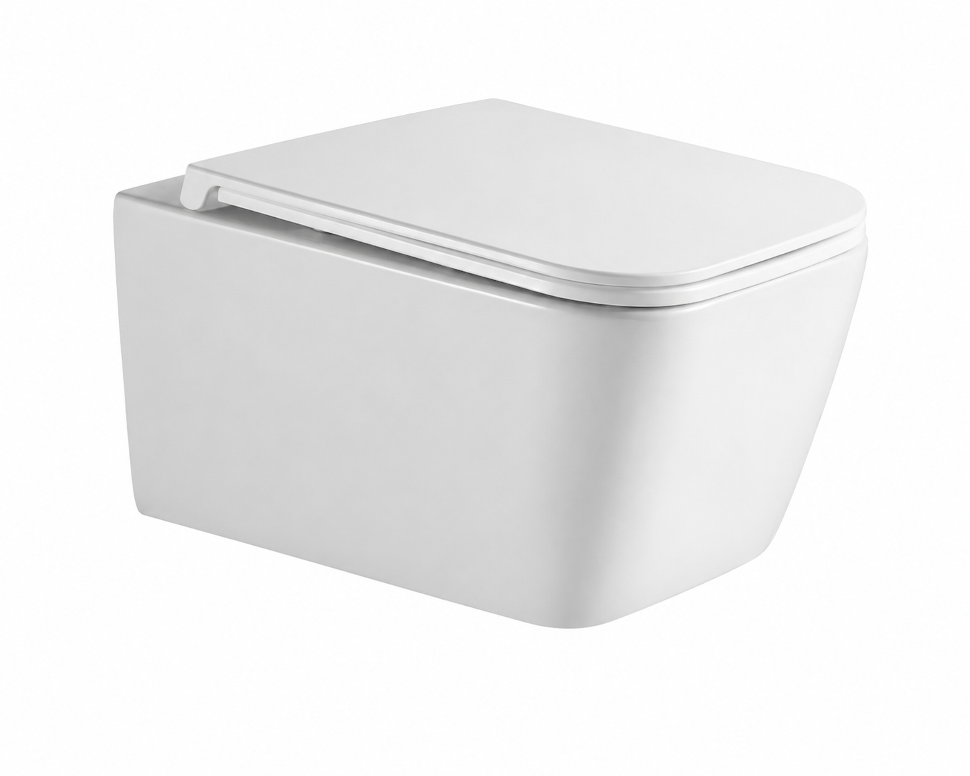 Ceramic WC